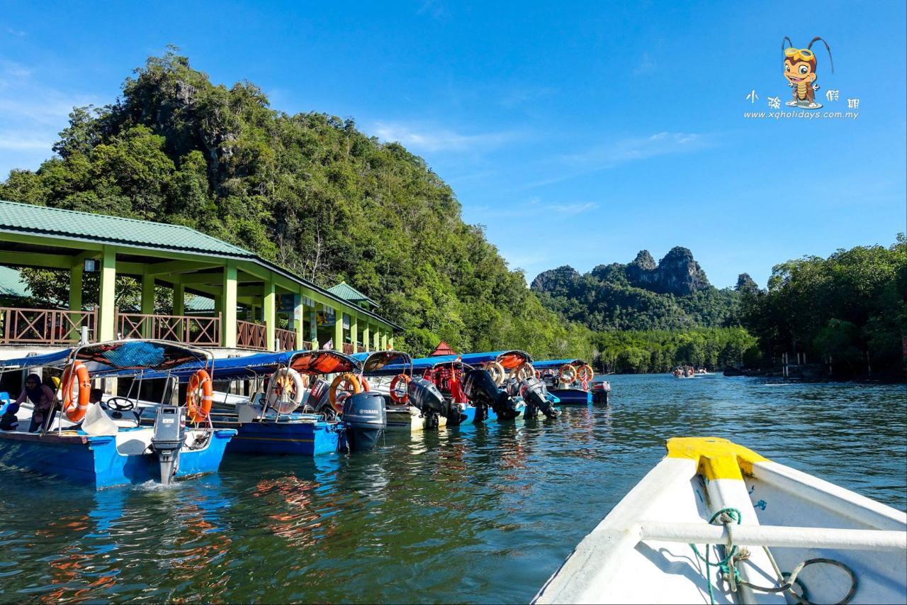 Jelajahi Hutan Bakau Langkawi yang Menakjubkan dengan Mangrove Tour